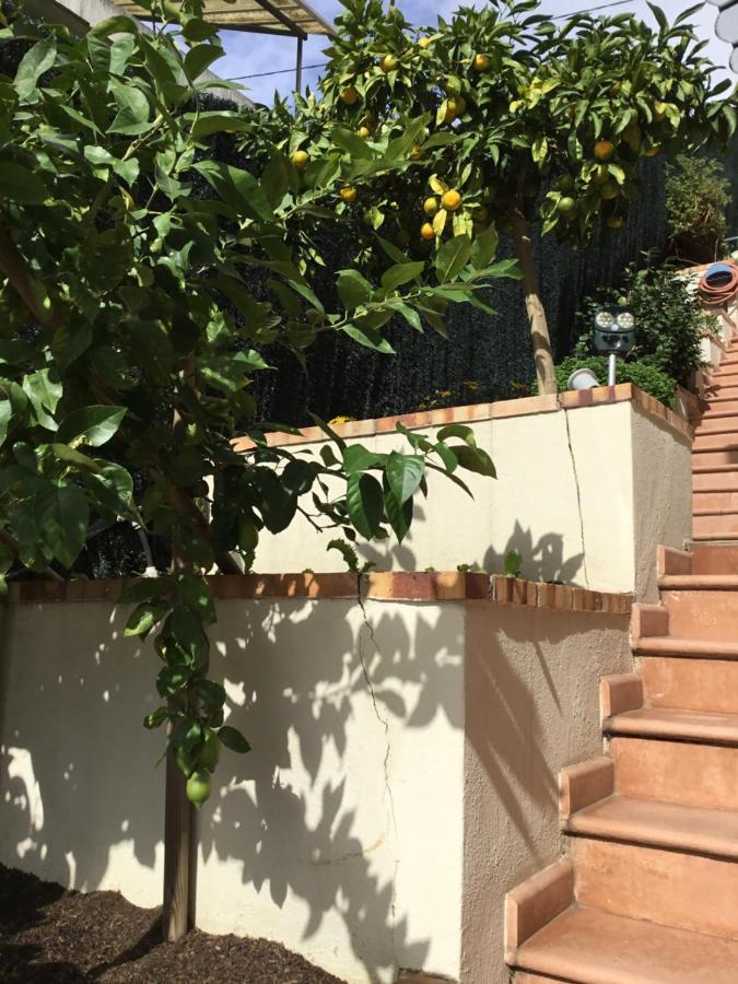 Villa Paradiso, Logement Avec Piscine, Nice Nord Exteriér fotografie